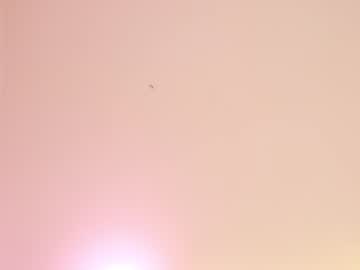cam girl sae__ image #3599697
