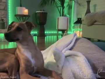 cam girl phoenix_taylor image #2639775