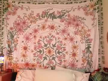 cam girl _stella_rose_ image #2594372