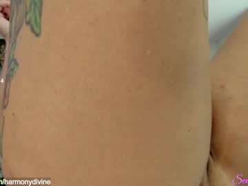 cam girl sexual_essence image #2557721