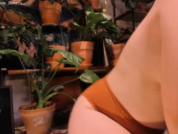 cam girl jane_flowers image #2421585