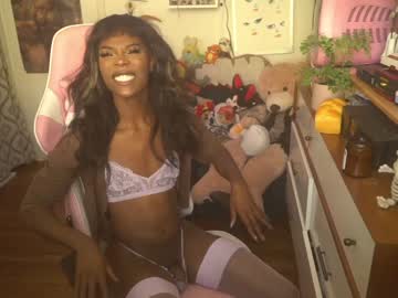 cam tranny vanniall image #1501516