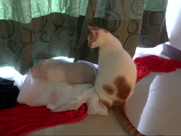 cam girl maria_alfonsina image #2421877