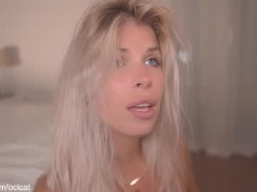 cam girl ocicat image #2652988