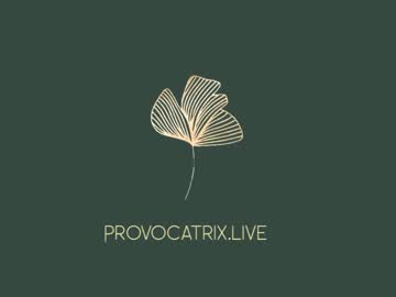 cam girl provocatrixx image #534521