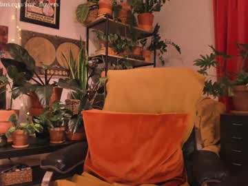 cam girl jane_flowers image #259457