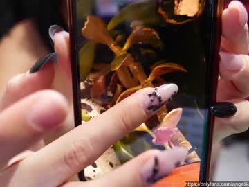 cam girl angelika_rouge image #3045846