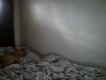 cam girl lacey_coxx image #1443738