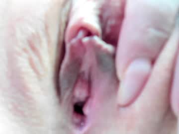 cam girl _witch__ image #1736547