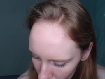 save_my_wings cam
