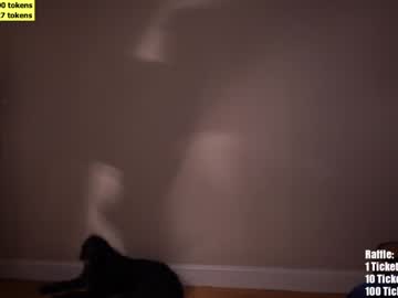 cam girl lucydelovely image #2056197