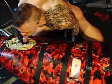 cam man muscle_dog image #210257