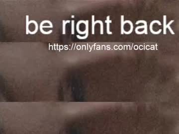 cam girl ocicat image #2652802