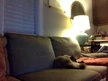 cam girl kaleandcupcakes image #3019240