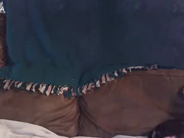 cam girl evelynvanderbilt image #3566268