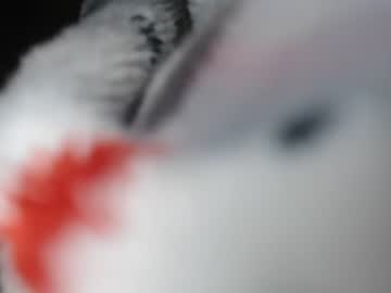cam girl jasmineathome image #3992701
