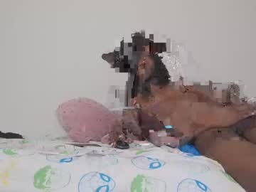 gawslee cam
