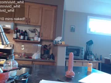 cam girl vivid_whit image #2457548