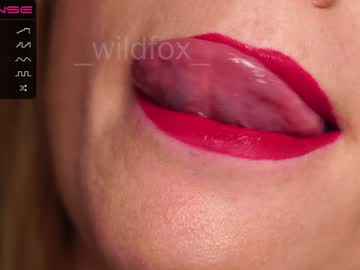 cam couple _wildfox_ image #2094577