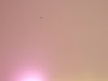 cam girl sae__ image #3629644