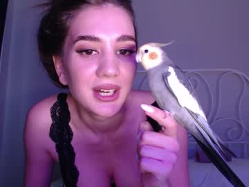 cam girl im_jasmine image #1333984
