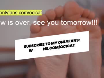 cam girl ocicat image #2258690
