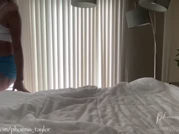 cam girl phoenix_taylor image #2579674