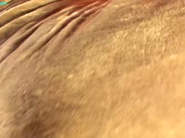 cam girl littlee33 image #835325