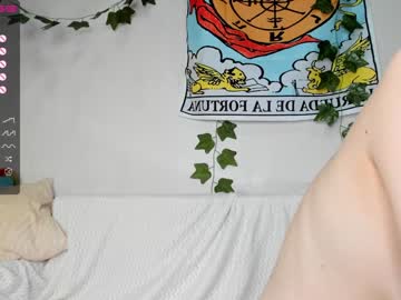 cam girl shycinderella image #3909702