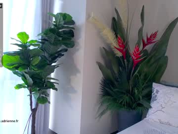 cam girl belle_adrienne image #2107362