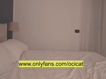 cam girl ocicat image #2952632