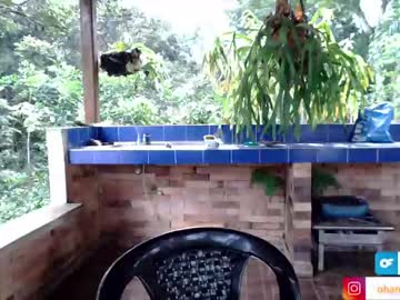 cam girl ohanna_ image #2083932