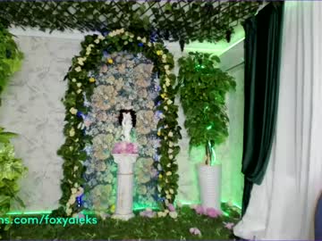 cam girl foxy_aleks image #939083