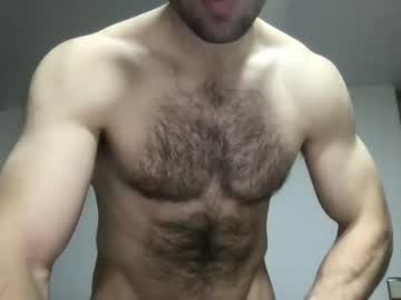 cam man bullgrey009 image #2588346