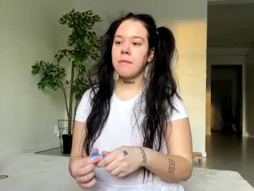 abelladzejner cam