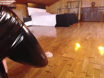 cam girl wildtequilla image #1544306
