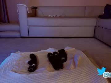 cam girl hollyextra image #3289786