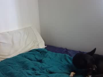 cam girl hey_emmy image #999714