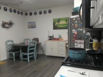 cam girl pr3ttyp1nkpussy image #2287863