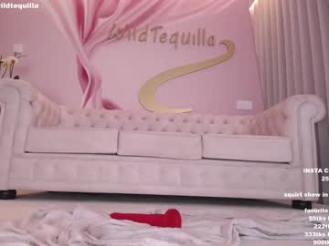 cam girl wildtequilla image #3590307