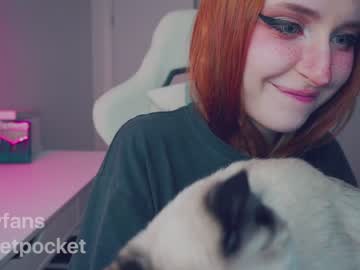 cam girl pocketrocket_ image #1221268