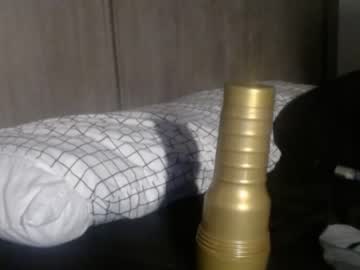 thelincolngrey cam