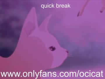cam girl ocicat image #2307371