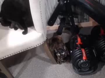 cam man lancehardin image #2895664