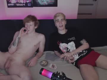 cam man alvin__main image #440684