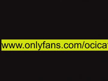 cam girl ocicat image #3061747