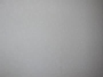 cam girl alice_rays_ image #3834964