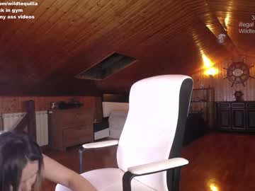 cam girl wildtequilla image #1445203