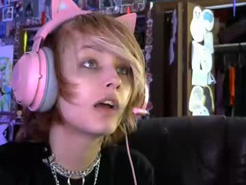 cam tranny penguin_effect image #3972505