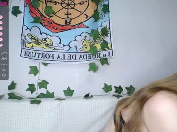 cam girl shycinderella image #3543779